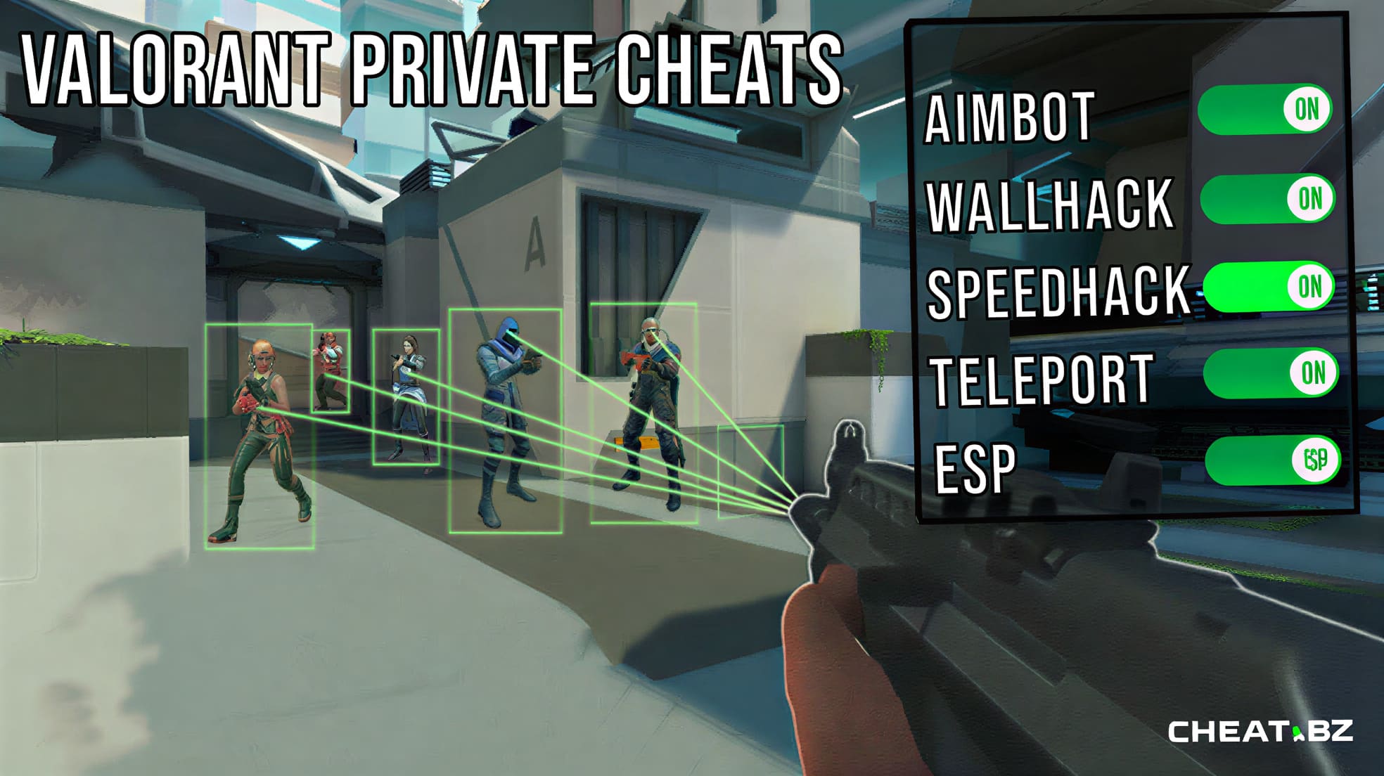 Buy Private Valorant Cheats 2026 | Undetected Valorant Hacks & Software ...