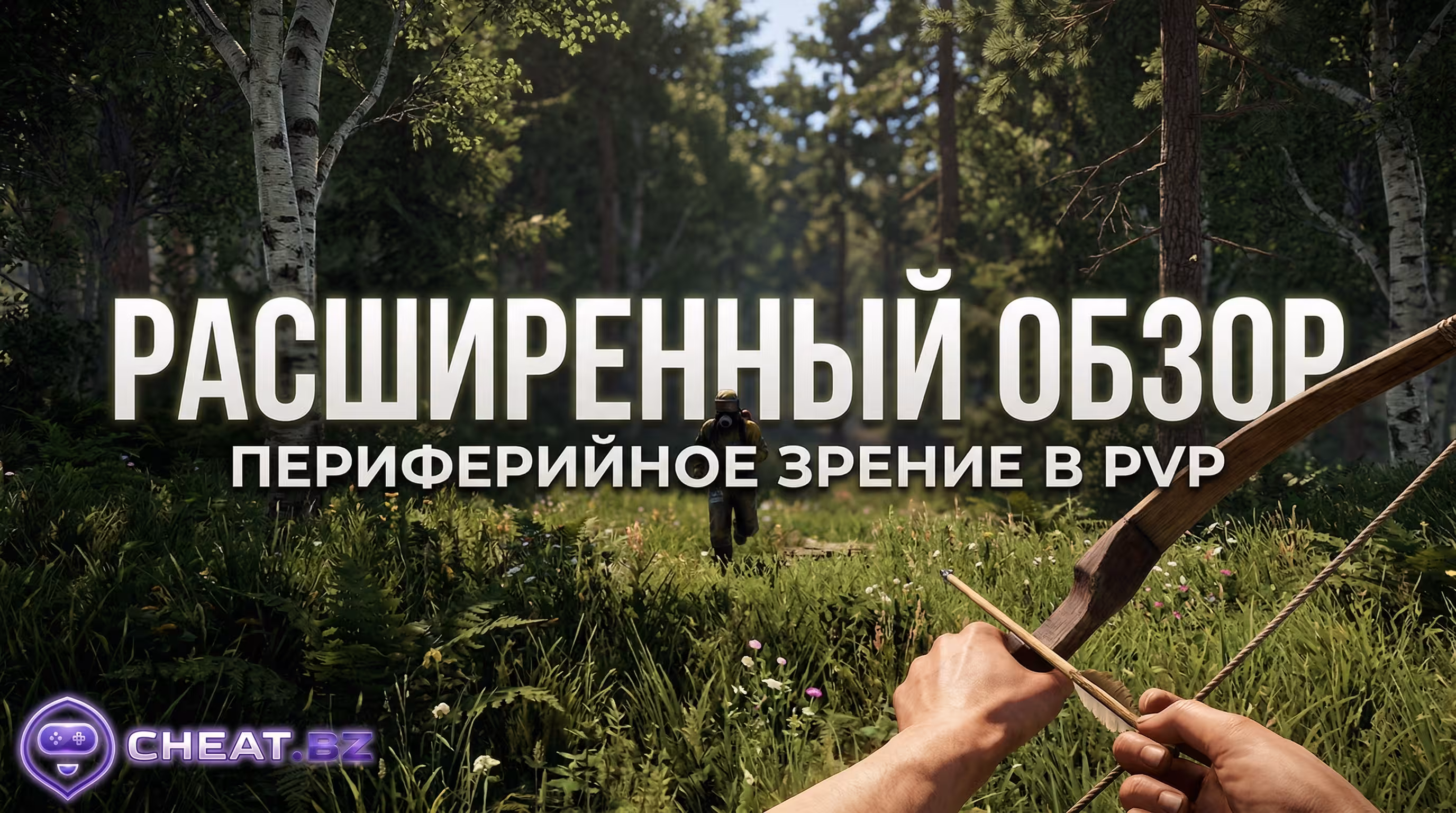 rust graphic fov scale pvp